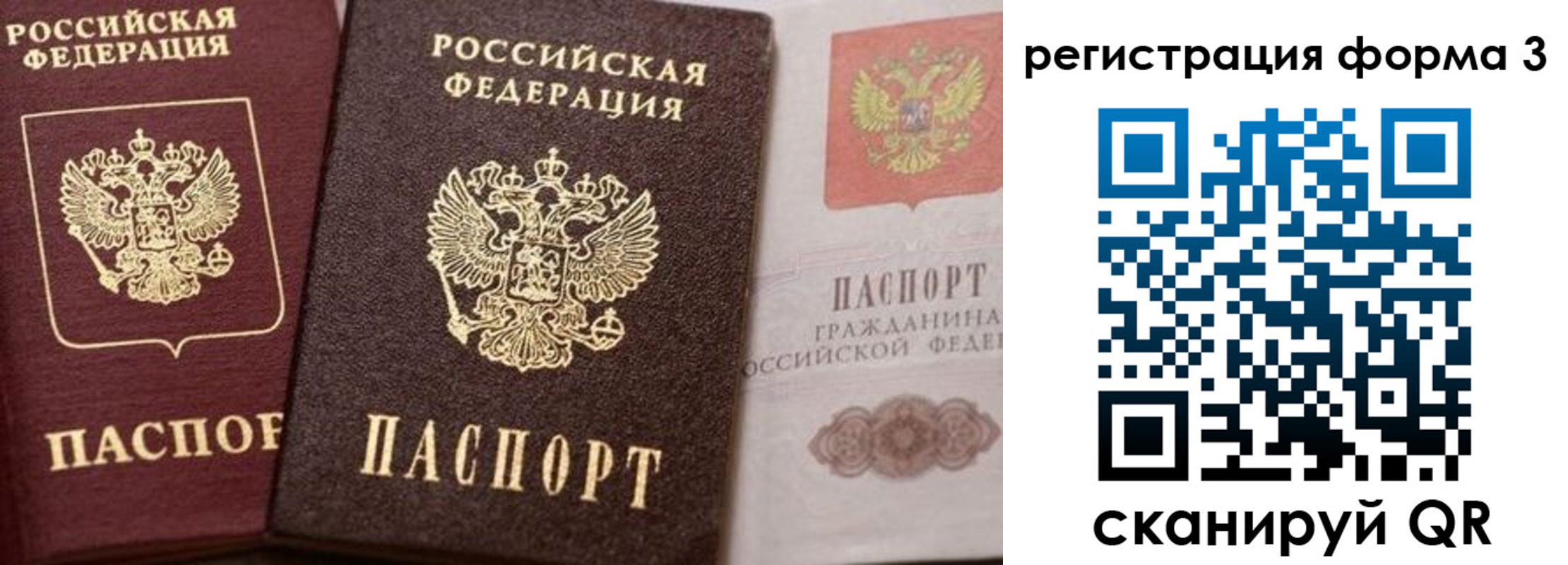 пропишу в квартире в Орехово-Зуево